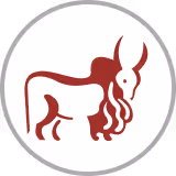 IndusInd Bank logo